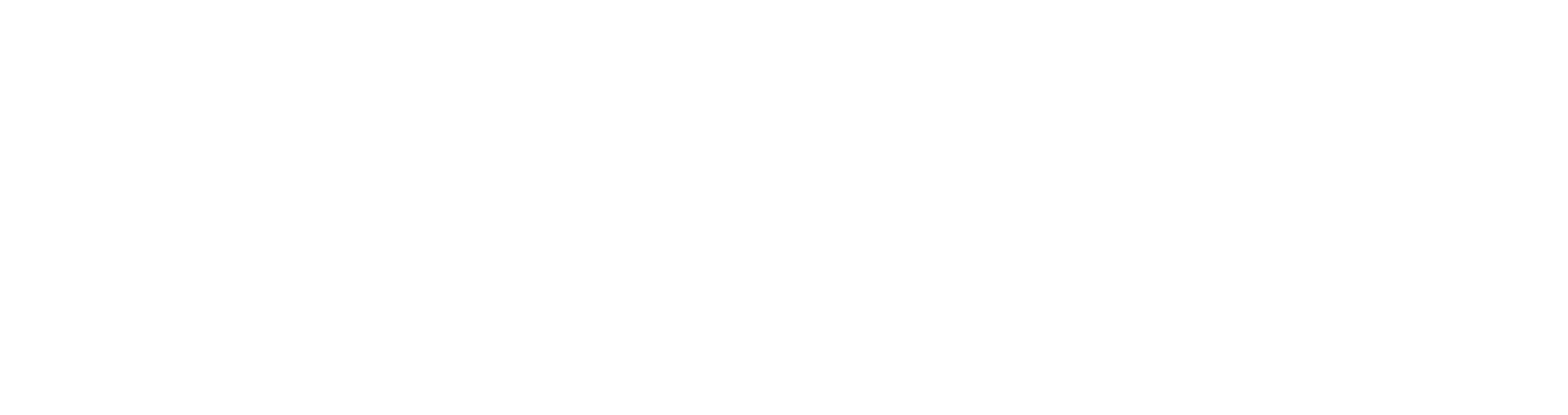FlixChoice Logo